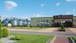 Шебекинский завод премиксов №1 увеличил объёмы производства
