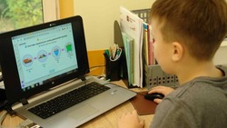 Белгородские школьники смогут взять компьютеры в школах во время дистанционного обучения 