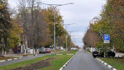 Белгородская область вошла в ТОП-3 самых экологичных субъектов РФ