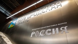 Посетители выставки-форума «Россия» смогут побывать на неделе Белгорода в Москве на ВДНХ