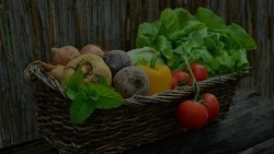 Две категории граждан в Белгородской области бесплатно получат продукты