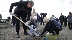 Вячеслав Гладков принял участие в акции «Сад памяти» к 80-летию Великой Победы