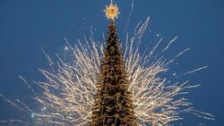 Дед Мороз зажег главную ёлку Белгородской области 11 декабря