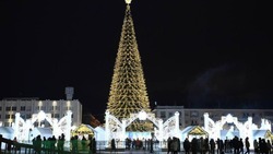 Новогоднее убранство Соборной площади в Белгороде может остаться до конца зимы