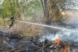 Власти продлили особый противопожарный режим в Белгородской области
