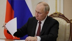 Белгородцы смогут присоединиться к прямой линии Владимира Путина 14 декабря