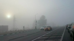 Белгородцев предупредили о дожде и тумане в четверг 