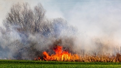 41 человек погиб при пожарах в Белгородской области за первое полугодие
