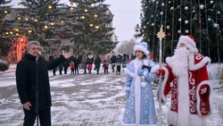 Главная ёлка Ивнянского района засверкала новогодними огнями