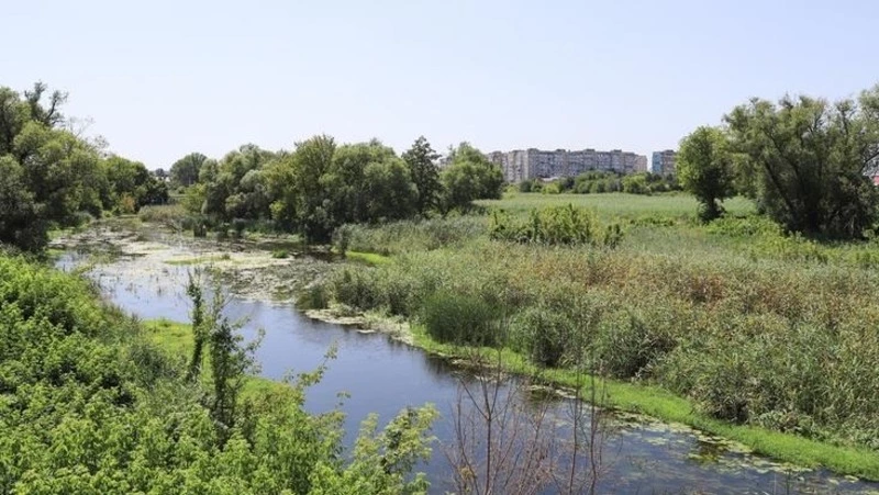В водоёмах Белгородской области утонули двое детей