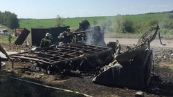 Массовая дорожная авария в Белгородской области унесла жизни трёх водителей 