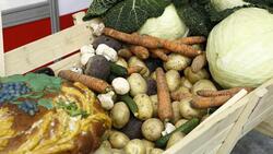 Белгородцы могут сообщить о завышении цен на овощи на горячие спецлинии
