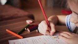 Почти 30% белгородских родителей намерены перевести своих детей на дистанционный формат обучения