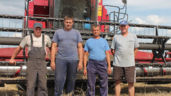 Ивнянские семьи приняли участие в уборке урожая