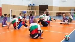 Власти планируют адаптировать спортобъекты в регионе для людей с ограниченными возможностями