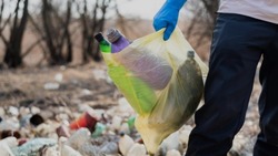Сотрудники белгородского ЦЭБа рассказали о сортировке мусора в регионе 