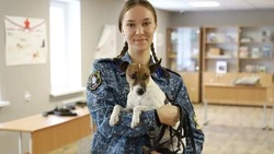 Профессиональная проба для школьников прошла в Белгородском правоохранительном колледже