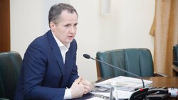 Вячеслав Гладков предложил создать Общественный Совет по проблемам бродячих животных