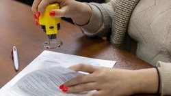 Решение Совета депутатов Ивнянского муниципального округа от 31.10.25 года № 2/51