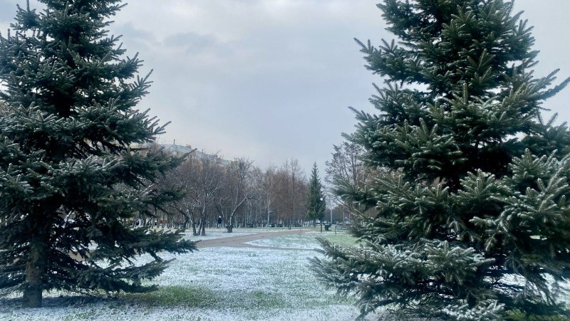 Белгородцев предупредили о дожде и заморозках 9 мая 