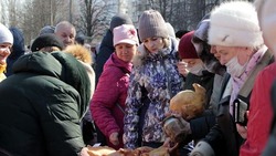 Крупные производители области и соседних регионов представили свою продукцию на ярмарке в Белгороде