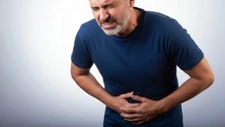 Почему пища для желудка должна быть простой, а для мозга — сложной