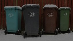 ЦЭБ сообщил, как в Белгородской области будет вывозиться мусор в праздничные дни 
