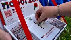 Ежегодная всероссийская акция «Красная гвоздика» стартовала в Ивнянском округе
