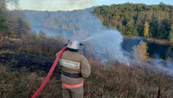 Белгородские спасатели сообщили о возгорании сухой травы в Федчёвке