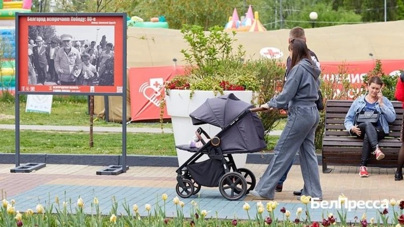 Белгородский Соцфонд рассказал жителям об условиях назначения единого пособия 