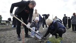 Вячеслав Гладков принял участие в акции «Сад памяти» к 80-летию Великой Победы