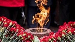 Вячеслав Гладков рассказал об установлении имён четырёх погибших героев Великой Отечественной войны