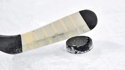 Хоккейный клуб «Белгород» будет играть дома в новом сезоне  