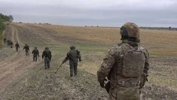 Более 6 тыс. снарядов в Белгородской области обезвредили сапёры в 2025 году