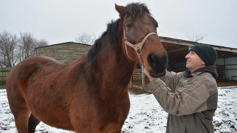 Новогодний подарок от Мани