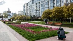Почти 93 тыс. жителей Белгородской области проголосовали за благоустройство общественных пространств