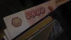 Белгородские правоохранители зафиксировали восемь фактов дистанционных краж и мошенничества