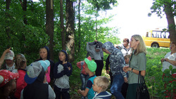 Школьники побывали на экскурсии в лесничестве