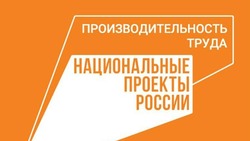 «Техногрупп Белгород» стал очередным участником нацпроекта «Производительность труда»