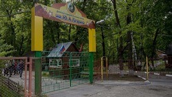 ЧОПы возьмут на себя охрану детских загородных лагерей в Белгородской области